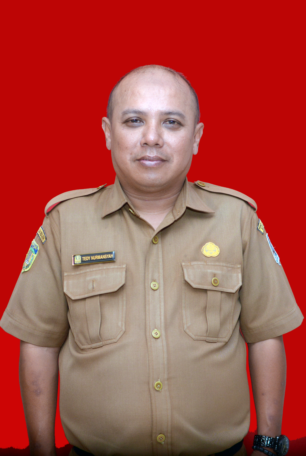 Tedy Nurmansyah, S.Sos
